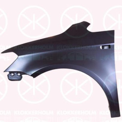 Wing, Left Front, with hole for direction indicator, 2K5 821 021B (VW)