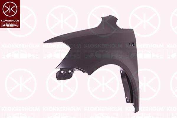 Wing, Left Front, with hole for direction indicator, 2K5 821 021B (VW)