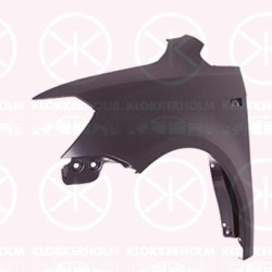 Wing, Left Front, with hole for direction indicator, 2K5 821 021B (VW)