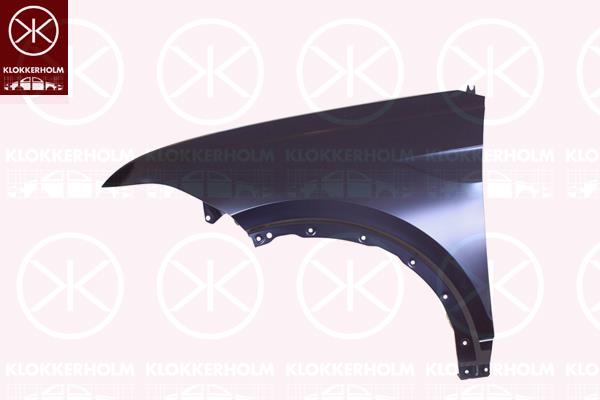 Wing, Left Front, 2GM 821 021 B (VW), 2GM821021C (VW), 2GM821105B (VW)