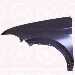 Wing, Left Front, 2GM 821 021 B (VW), 2GM821021C (VW), 2GM821105B (VW)