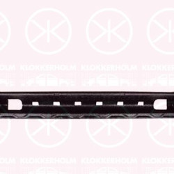 Impact Absorber, bumper, Front, 2GM 807 248 A (VW)