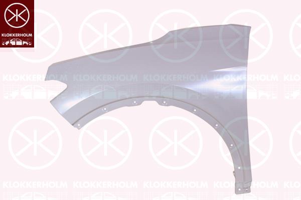 Wing, Right Front, 11A 821 022 F (VW)