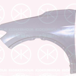 Wing, Right Front, 11A 821 022 F (VW)