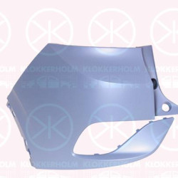 Bumper, w/primer, Left Rear, Corner Panel, 11A 807 983 GRU (VW)