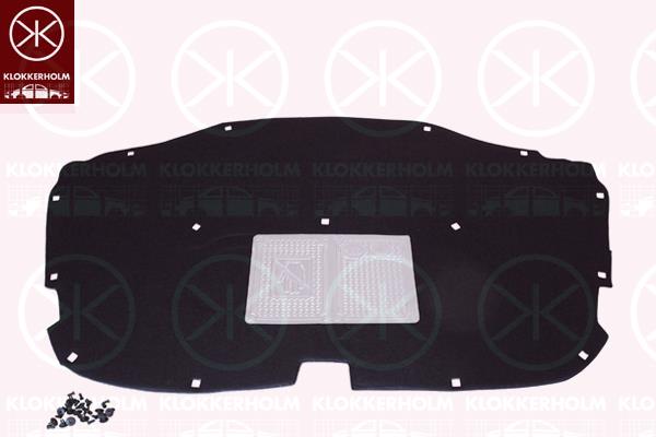 Engine Compartment Noise Insulation, Centre Section, Fitting Position: Bonnet, ? (VW)