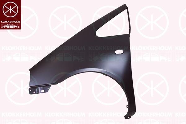 Wing, Left Front, 7M3 821 105L (VW)