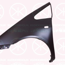 Wing, Left Front, 7M3 821 105L (VW)