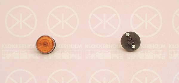 Direction Indicator, lateral installation, yellow, with nut, with bulb holder, 