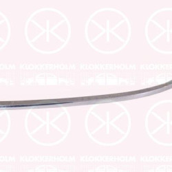 Trim/Protection Strip, bumper, chrome, Left Front, 4B0 807 173 2ZZ (AUDI), 4B08071732ZZ (AUDI)