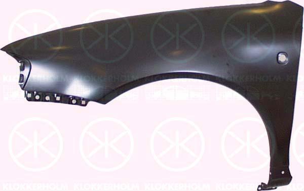 Wing, Left Front, with hole for direction indicator, 8L0 821 105 (AUDI)