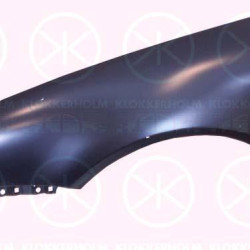 Wing, Right Front, with hole for direction indicator, Zinc-coated, 8L0 821 106B (AUDI)