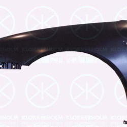 Wing, Right Front, with hole for direction indicator, 8L0 821 106B (AUDI)