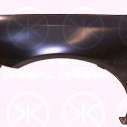 Wing, Right Front, with hole for direction indicator, 8D0 821 106M (VW)