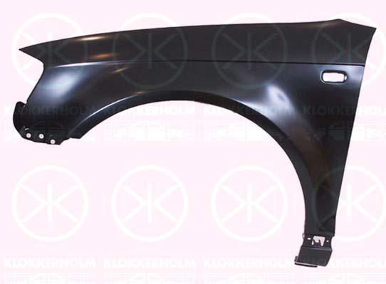 Wing, Left Front, with hole for direction indicator, 8P0 821 105 F (AUDI), 8P0 821 105C (AUDI), 8P0 821 105D (AUDI)