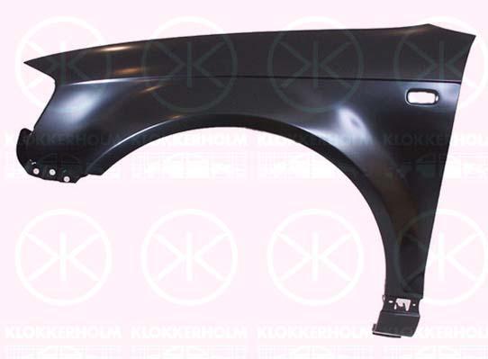 Wing, Left Front, with hole for direction indicator, Zinc-coated, 8P0 821 105 F (AUDI), 8P0 821 105C (AUDI), 8P0 821 105D (AUDI)