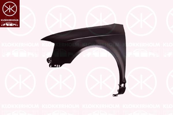 Wing, Right Front, 8P0 821 106E (AUDI), 8P0 821 106G (AUDI)