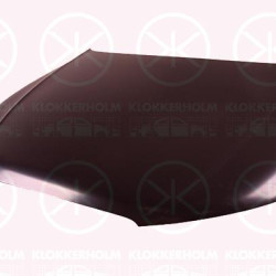 Bonnet, Tin-plated, 8K0 823 029 H (AUDI)