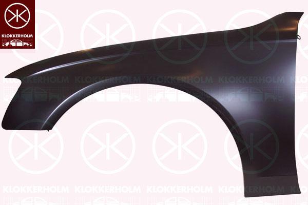 Wing, Left Front, 8K0 821 105A (AUDI)