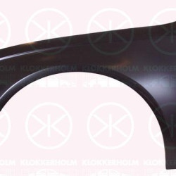 Wing, Left Front, 8K0 821 105A (AUDI)