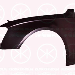 Wing, Left Front, 8K0 821 105 J (AUDI)