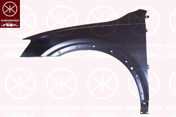 Wing, Steel, Right Front, with holes for extensions, 8U0 821 106 (AUDI)