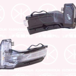 Direction Indicator, Exterior Mirror, Left, LED, 81A 949 101 (AUDI)