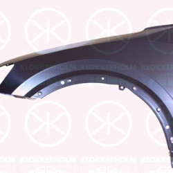 Wing, Left Front, without hole for direction indicator, 81A 821 105 (AUDI)