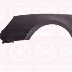 Wing, Left Front, without hole for direction indicator, 8W0 821 105A (AUDI)