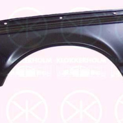 Wing, Left Front, 41 35 1 846 695 (BMW)