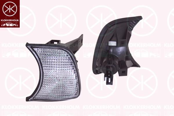 Direction Indicator, with bulb holder, white, Right, 82 19 9 404 276 (BMW), 82 21 9 404 276 (BMW)