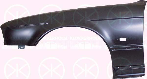 Wing, Left Front, with hole for direction indicator, 41 35 1 946 929 (BMW)