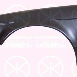 Wing, Left Front, with hole for direction indicator, 41 35 1 946 929 (BMW)