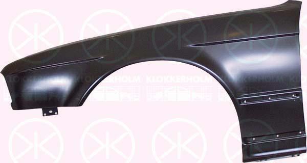 Wing, Right Front, without hole for direction indicator, 41 35 1 946 926 (BMW)