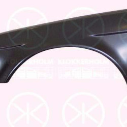 Wing, Right Front, without hole for direction indicator, 41 35 1 946 926 (BMW)