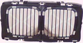 Radiator Grille, Centre Section, 51 13 1 973 825 (BMW)