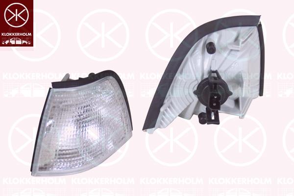 Direction Indicator, with bulb holder, white, Right, 82 19 9 403 096 (BMW), 82 21 9 403 096 (BMW)