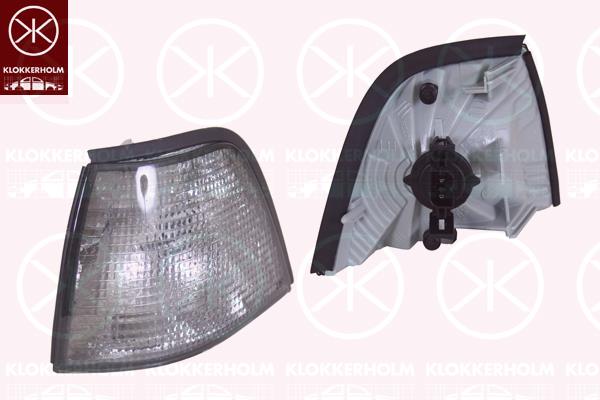 Direction Indicator, with bulb holder, Smoke Grey, Left, 63 13 8 353 277 (BMW)