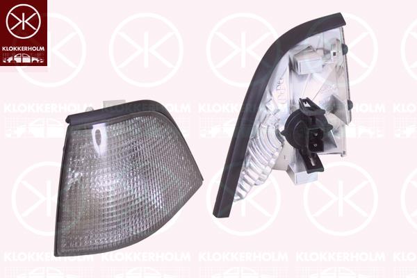 Direction Indicator, with bulb holder, Smoke Grey, Left, 63 13 8 353 281 (BMW)