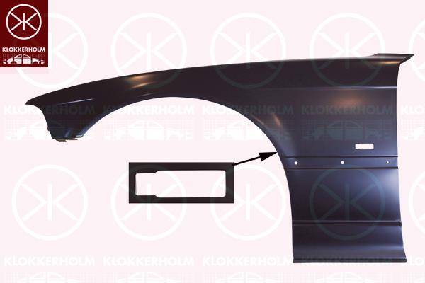 Wing, Left Front, with hole for direction indicator, 41 35 8 223 925 (BMW)