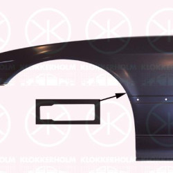 Wing, Left Front, with hole for direction indicator, 41 35 8 223 925 (BMW)