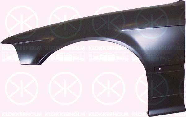 Wing, Left Front, without hole for direction indicator, 41 35 1 977 873 (BMW)