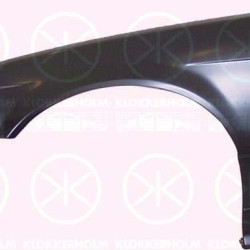 Wing, Left Front, without hole for direction indicator, 41 35 1 977 873 (BMW)