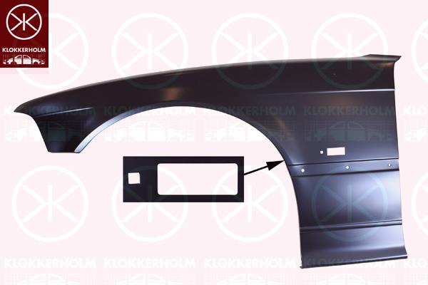 Wing, Left Front, with hole for direction indicator, 41 35 2 259 961 (BMW), 41 35 8 122 235 (BMW), 41 35 8 223 927 (BMW)