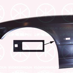 Wing, Left Front, with hole for direction indicator, 41 35 2 259 961 (BMW), 41 35 8 122 235 (BMW), 41 35 8 223 927 (BMW)