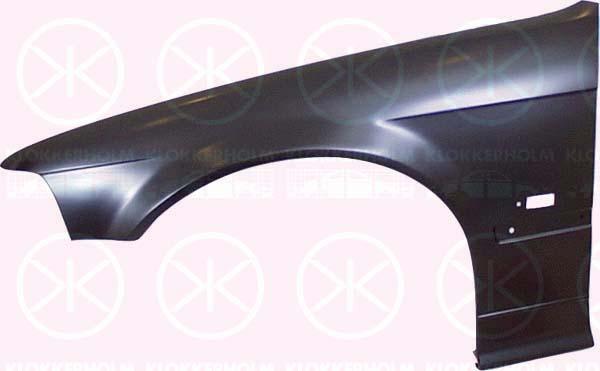 Wing, Right Front, with hole for direction indicator, 41 35 8 215 272 (BMW)