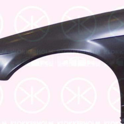 Wing, Right Front, with hole for direction indicator, 41 35 8 215 272 (BMW)