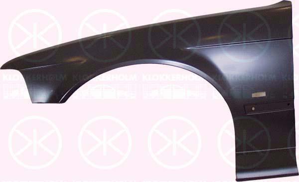 Wing, Right Front, with hole for direction indicator, 41 35 8 223 922 (BMW)