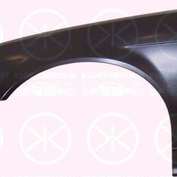 Wing, Right Front, with hole for direction indicator, 41 35 8 223 922 (BMW)