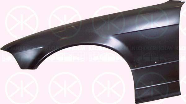 Wing, Left Front, without hole for direction indicator, 41 35 8 122 233 (BMW), 41 35 8 215 289 (BMW)